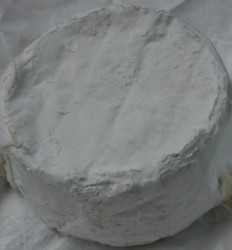 Fleuri du Bocage (Brie)